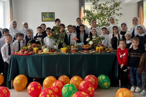 Картинка